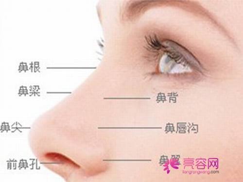 长文!多图!慎入!盘点假体隆鼻要点!假体隆鼻优势及其没问题性综合分析!