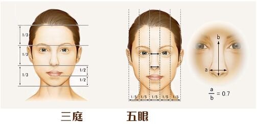 何为三庭五眼 面部轮廓如何才能更具美感?