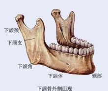 上海九院余东下颌角磨骨多少钱?