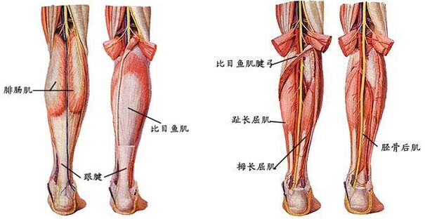 打注射瘦腿果好吗?有什么副作用
