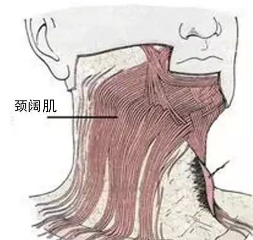 30岁前颈纹严重正常吗?怎么办?