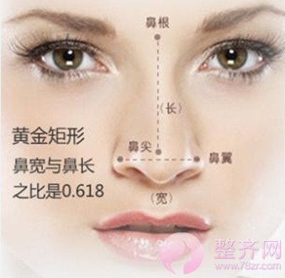 什么样的鼻子才较好看?