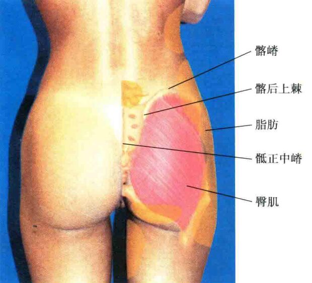 哪些人适合做丰臀,怎样的臀部才好看?
