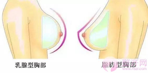 想减肥不减胸?你该这样做!