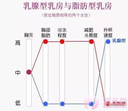 想减肥不减胸?你该这样做!