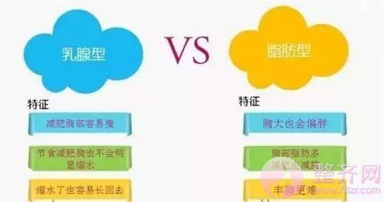 想减肥不减胸?你该这样做!