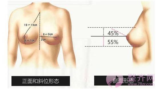 想减肥不减胸?你该这样做!