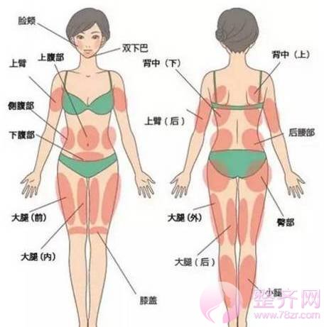 自体脂肪丰胸,脂肪才是重点