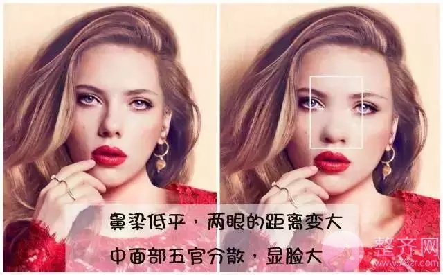 在这个看脸的时代,鼻子才是重要指标