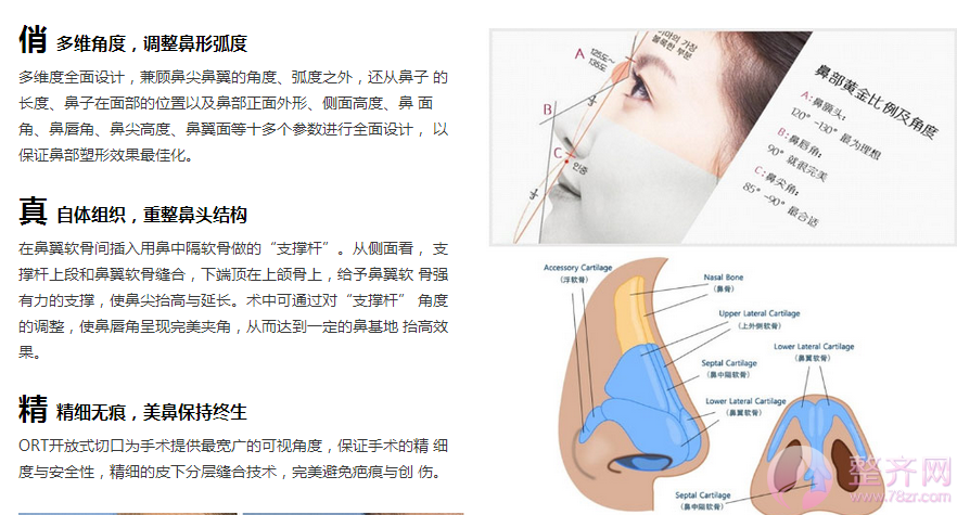 鼻子很重要!面部一枝花全靠鼻当家