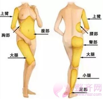 自体脂肪软黄金,颜值飙升的财富