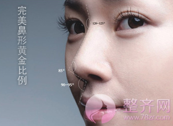 想要鼻部优美弧度?4条曲线是关键!