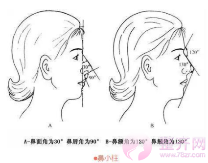 如何拥有一个精致的鼻子?