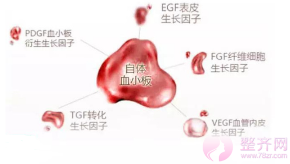 为什么需要做自体脂肪填充?