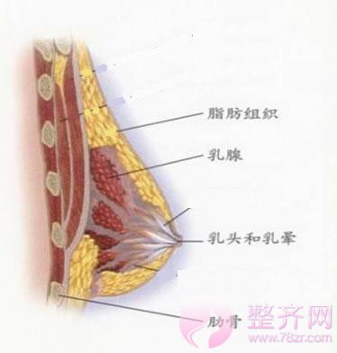隆胸后妹子们担心的这些问题,真的会出现吗