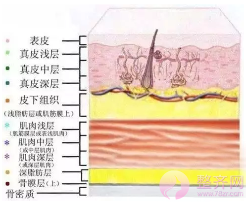 大家都在变美,谁甘愿被落下?