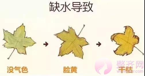 水光补水:这4种人千万别打!