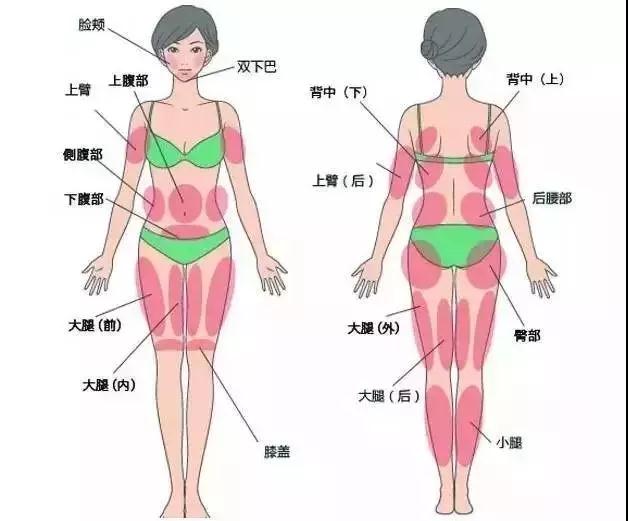 世界就是这么玄幻,肥肉也能“变废为宝”!