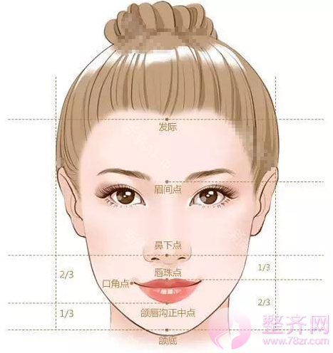 面部美学标准,数据告诉你什么是美!