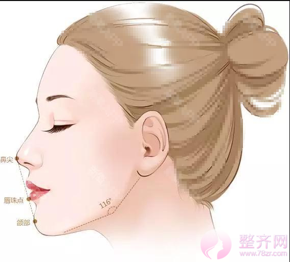 面部美学标准,数据告诉你什么是美!