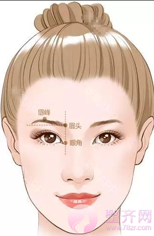 面部美学标准,数据告诉你什么是美!