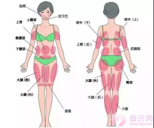 脂肪填充,小小脂肪,大大作用