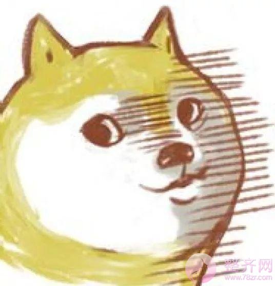 异体肋软骨隆鼻,真的行得通吗?