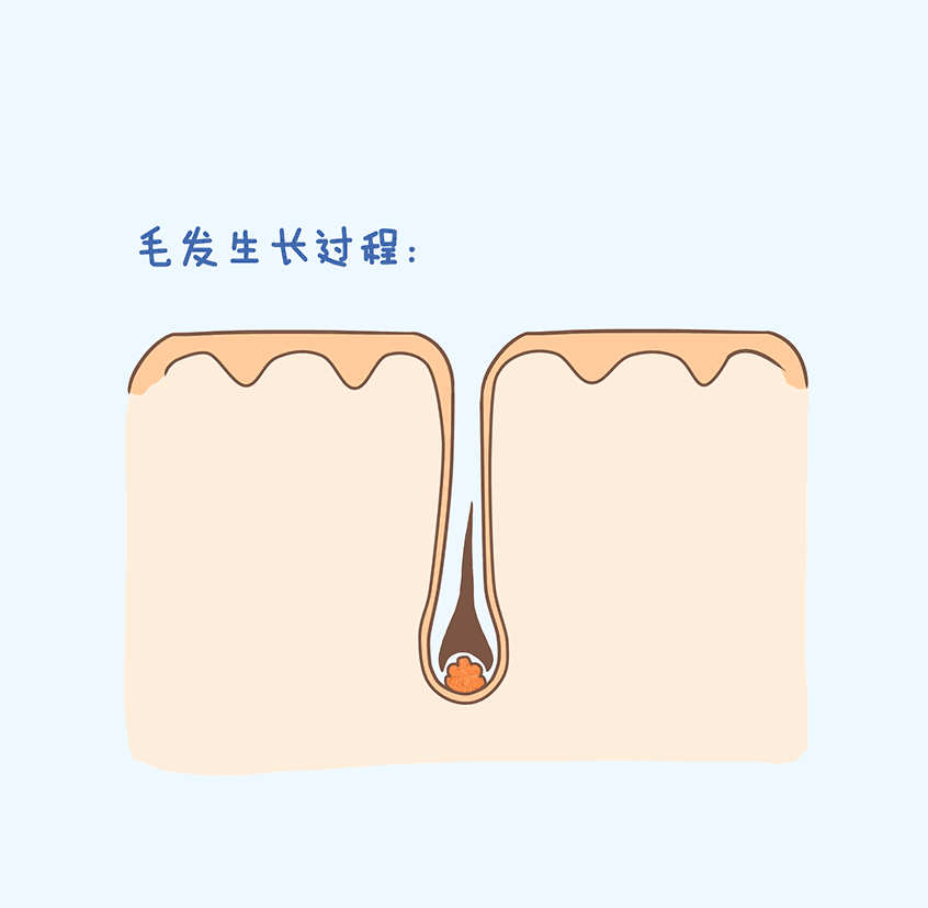 不要担心无法拥有“北极星”绿,植发来帮你
