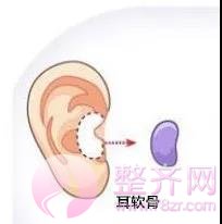 想要一副盛世美颜,没有漂亮的鼻子怎么行?