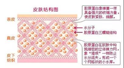 玻尿酸代谢之后皮肤会怎么样?