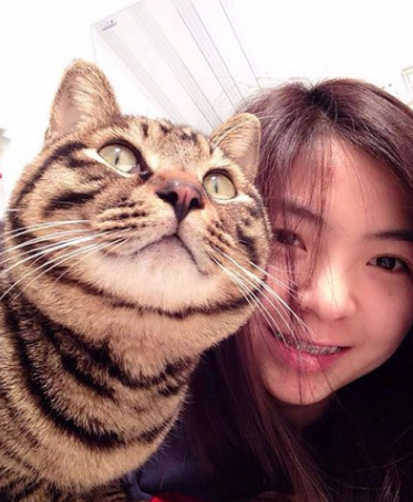 牙齿矫正术前术后对比案例,和牙套君恋爱的日子,不再做龅牙妹!