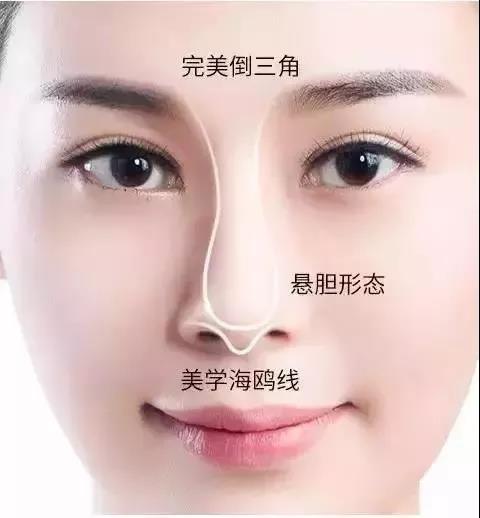 隆鼻,极受欢迎的整形项目