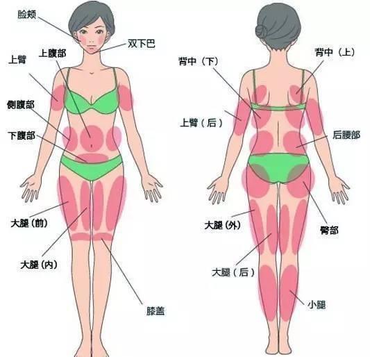 自体脂肪移植——源于自身的美