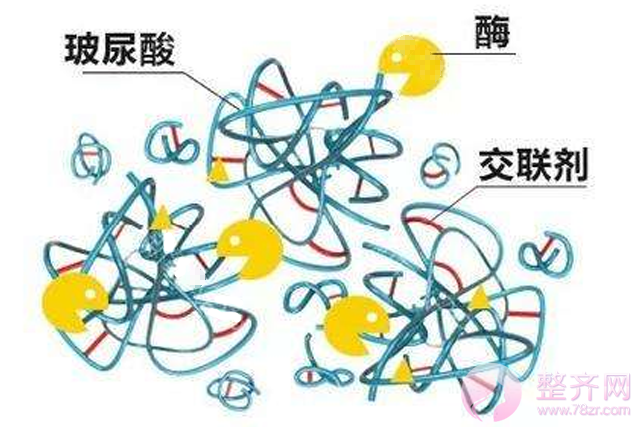 夏季打玻尿酸,会融化吗?