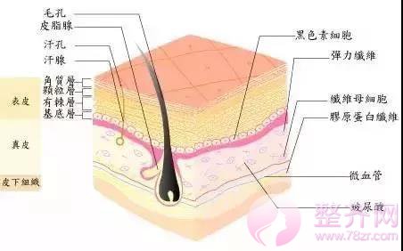 夏季打玻尿酸,会融化吗?