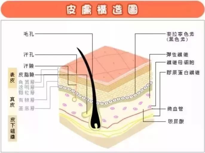 玻尿酸持续注射,脸部是否会僵硬?