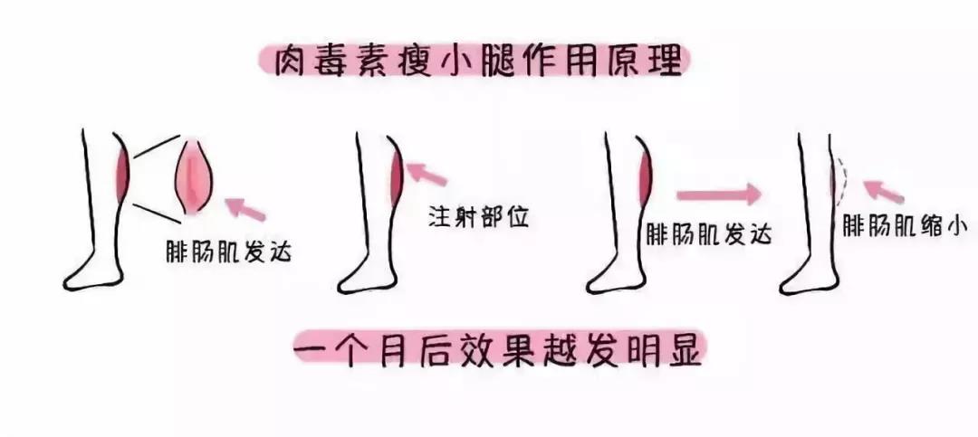 天一热,减肥的热度也上来了