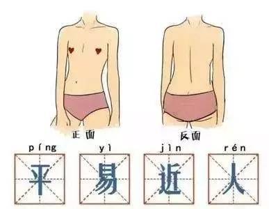 什么样的胸部较美?