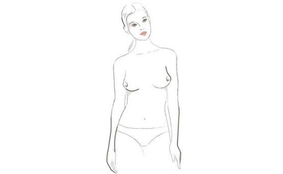 什么样的胸部较美?