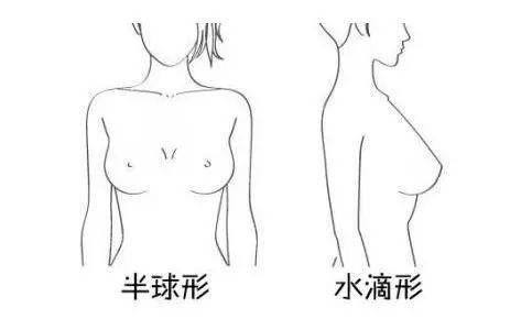 什么样的胸部较美?