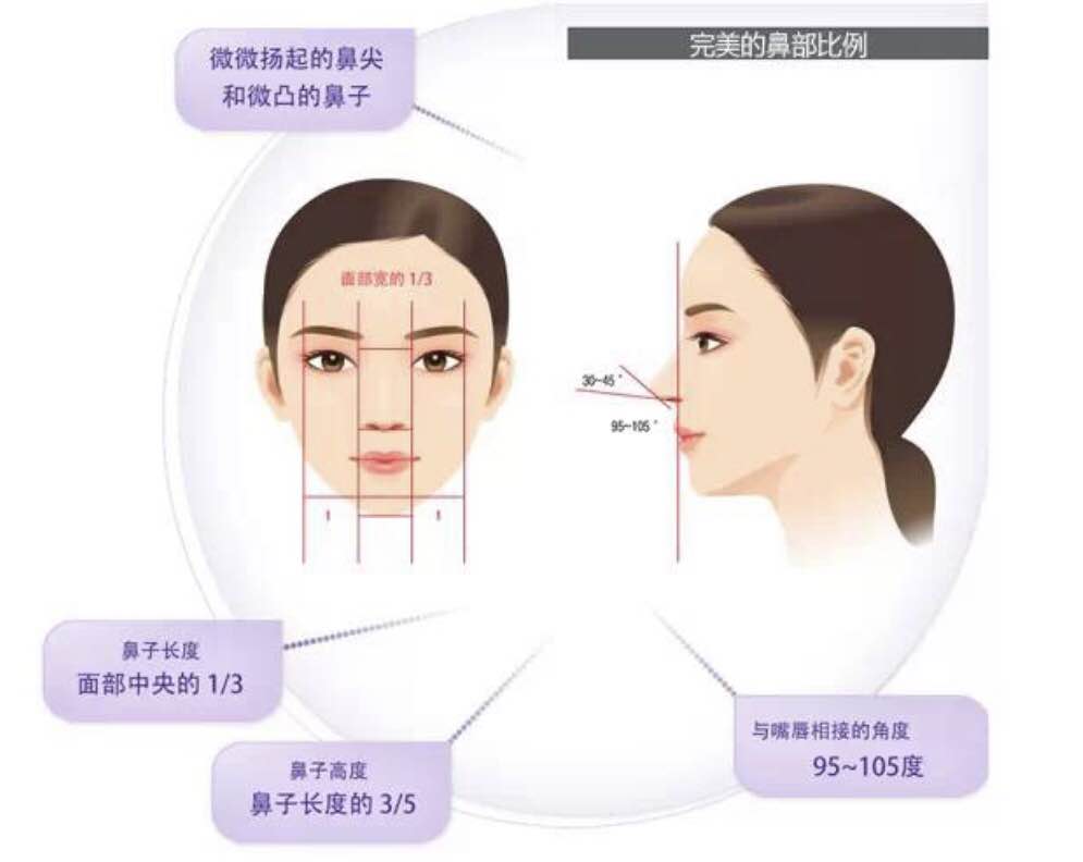 隆鼻做什么样的鼻子才好看?