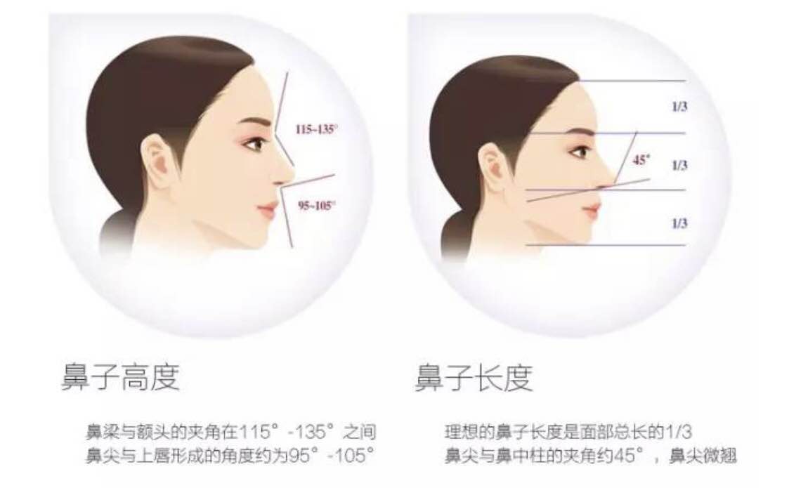 隆鼻做什么样的鼻子才好看?